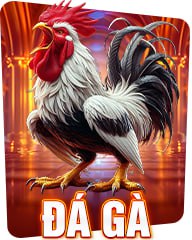 Hình ảnh đá gà 789P