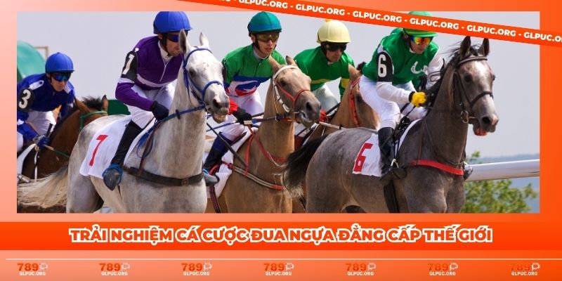 Cá cược đua ngựa – Trải nghiệm chuẩn quốc tế